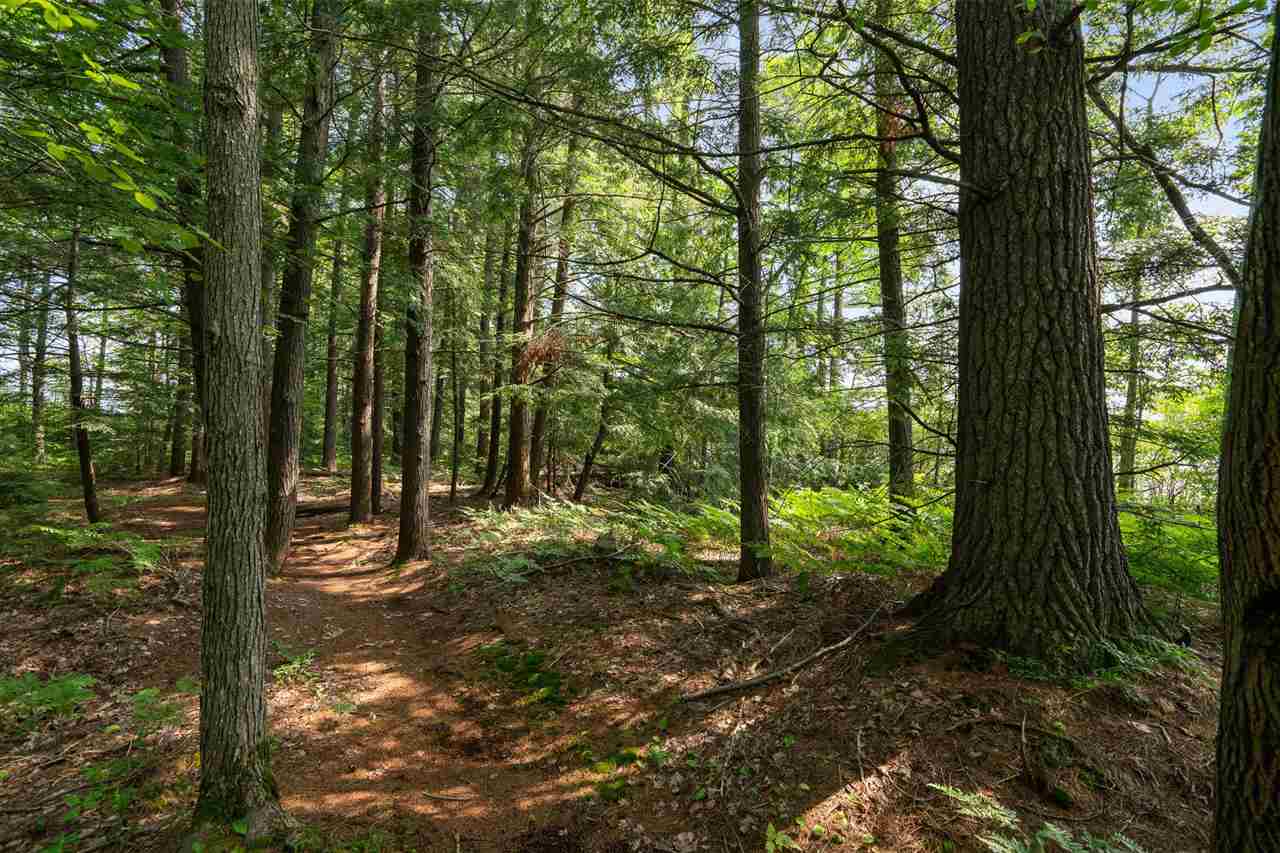 Kalkaska, Michigan 49646, United States, 37 Bedrooms Bedrooms, ,37 BathroomsBathrooms,Residential,Active,71541