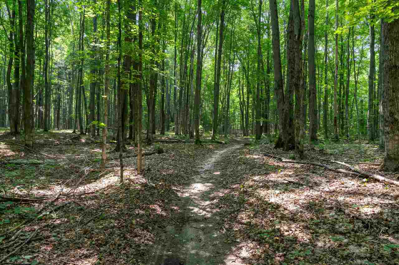 Kalkaska, Michigan 49646, United States, 37 Bedrooms Bedrooms, ,37 BathroomsBathrooms,Residential,Active,71541