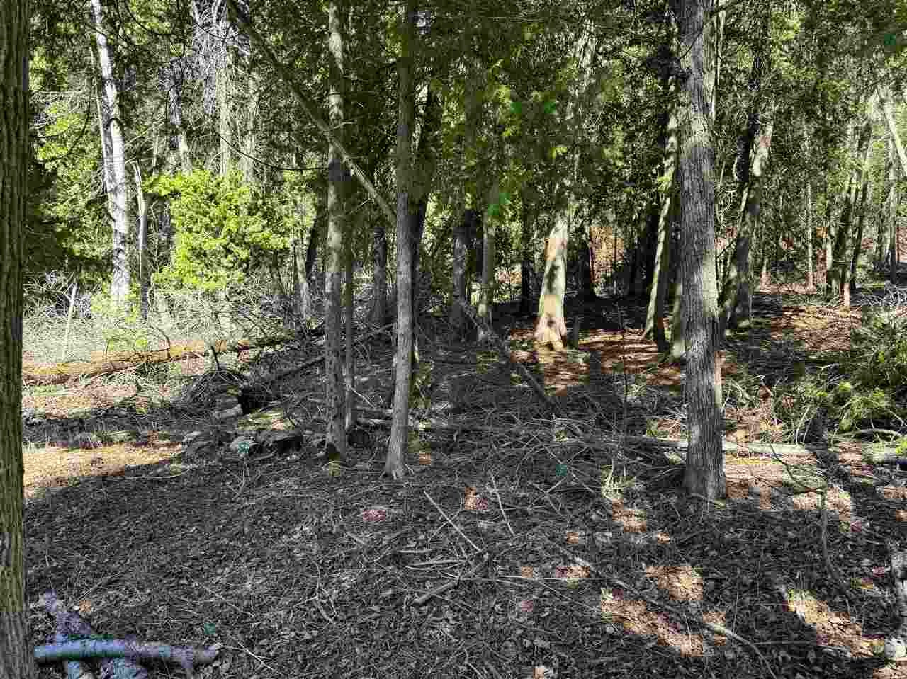4254 Pine Cove Lane