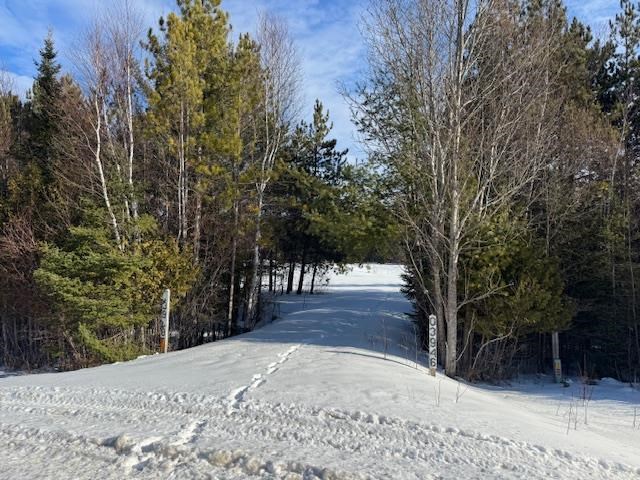 Boyne Falls, Michigan 49713, United States, ,Land,Active,11178