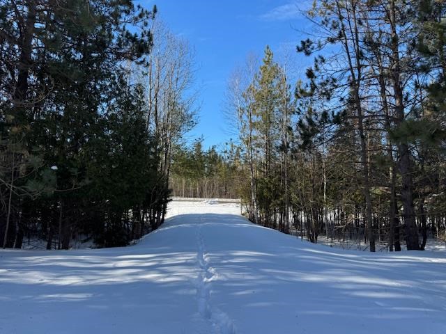 Boyne Falls, Michigan 49713, United States, ,Land,Active,11178