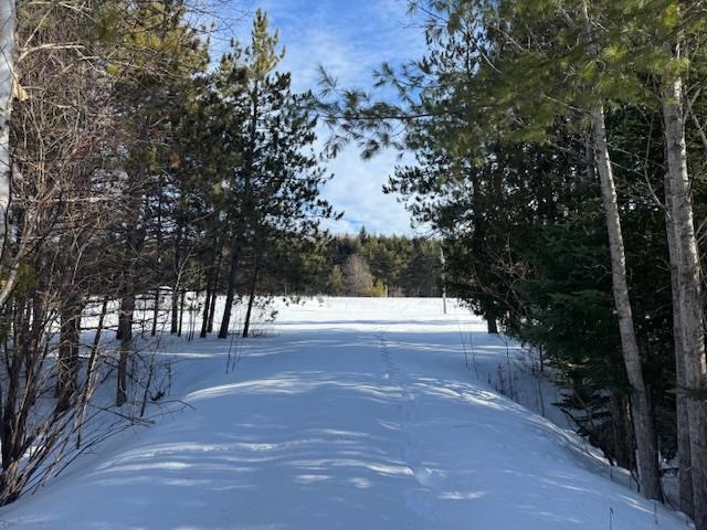 Boyne Falls, Michigan 49713, United States, ,Land,Active,11178