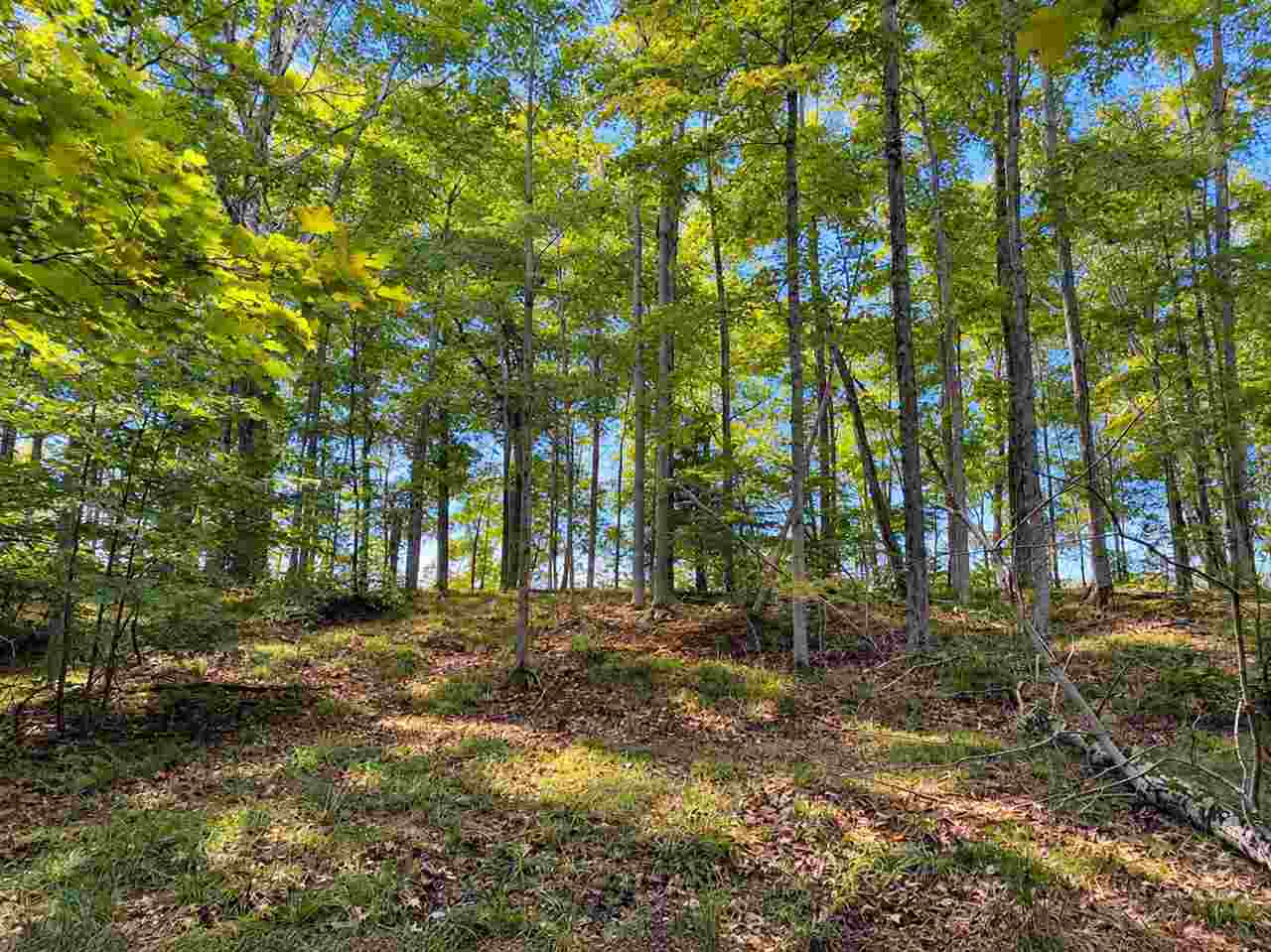 TBD Fox Lake Road