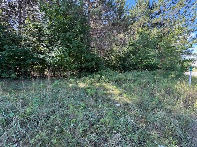 Boyne Falls, Michigan 49713, United States, ,Land,Active,195624