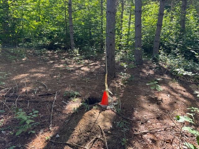 Boyne Falls, Michigan 49713, United States, ,Land,Active,195624