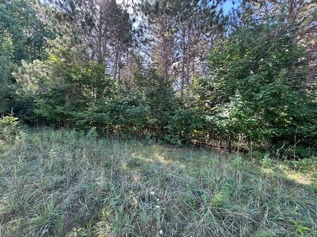 Boyne Falls, Michigan 49713, United States, ,Land,Active,195624