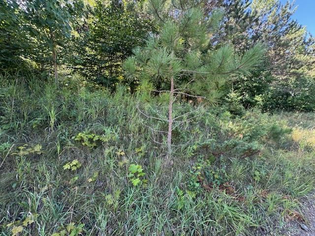 Boyne Falls, Michigan 49713, United States, ,Land,Active,195624