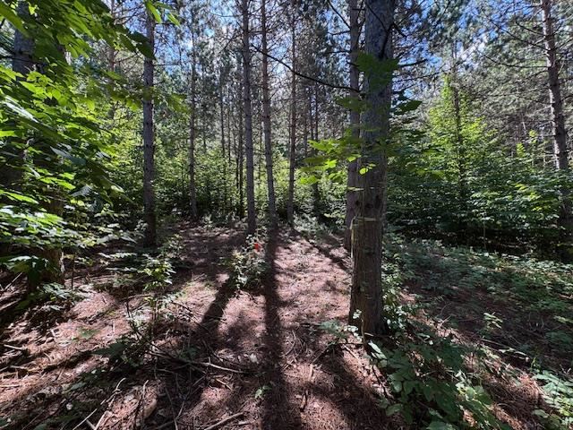 Boyne Falls, Michigan 49713, United States, ,Land,Active,195624