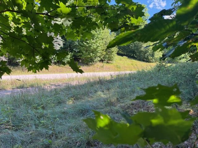 Boyne Falls, Michigan 49713, United States, ,Land,Active,195624