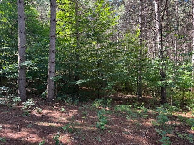 Boyne Falls, Michigan 49713, United States, ,Land,Active,195624