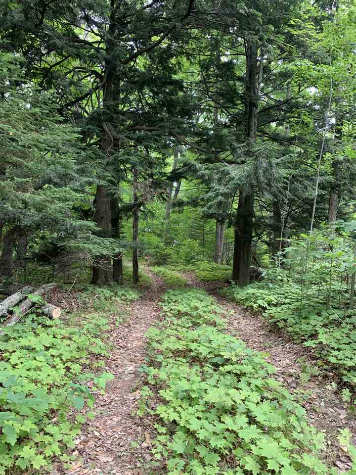 Beaver Island, Michigan 49782, United States, ,Land,Active,71145