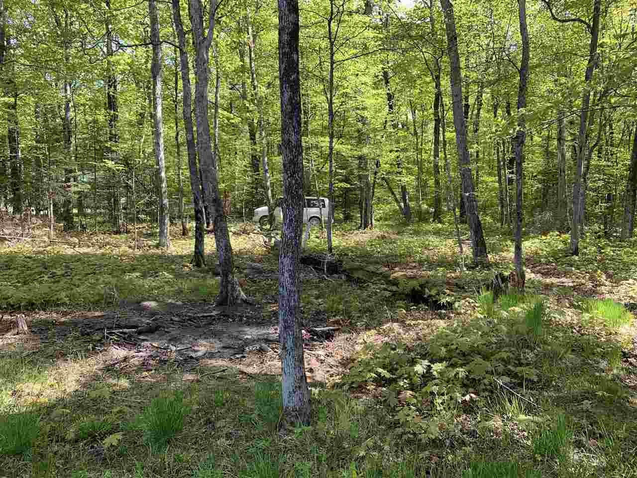 Beaver Island, Michigan 49782, United States, ,Land,Active,71145