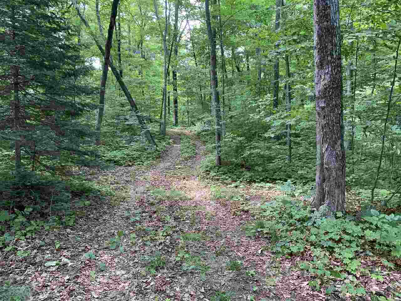 Beaver Island, Michigan 49782, United States, ,Land,Active,71145
