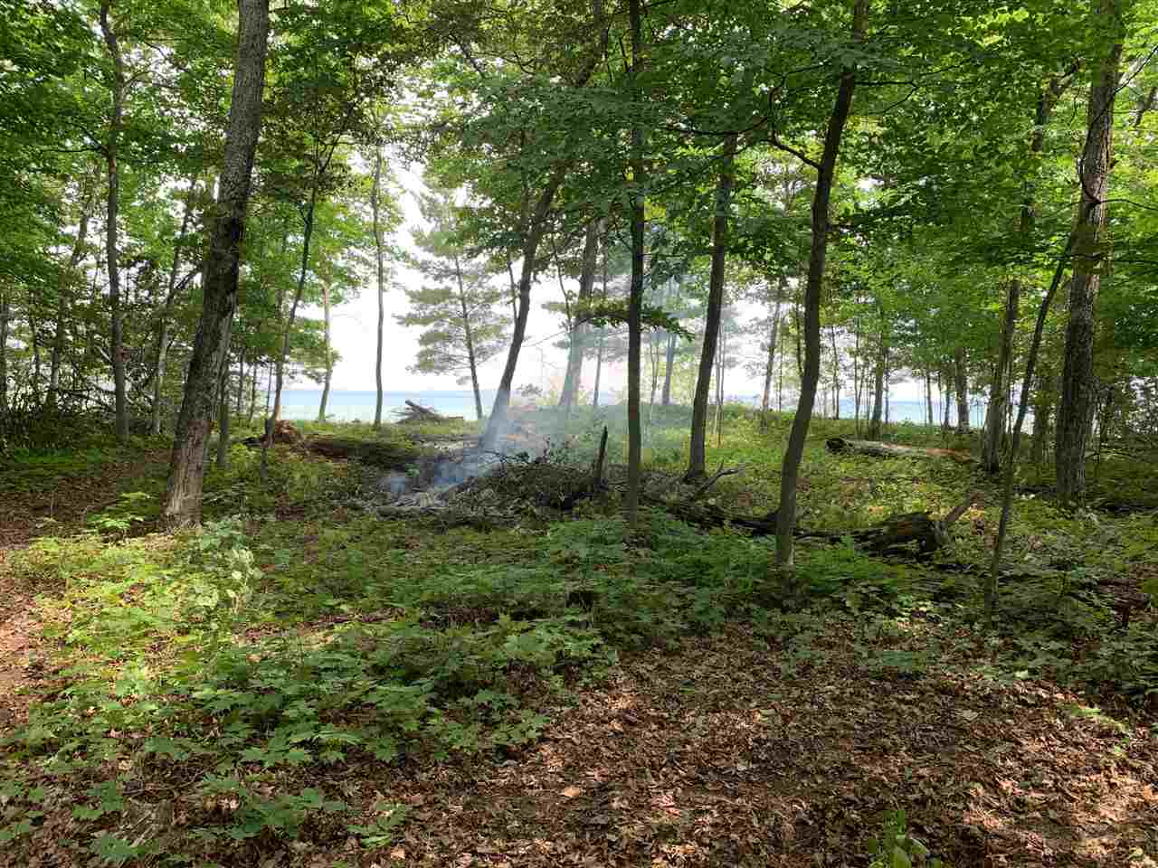 Beaver Island, Michigan 49782, United States, ,Land,Active,71145