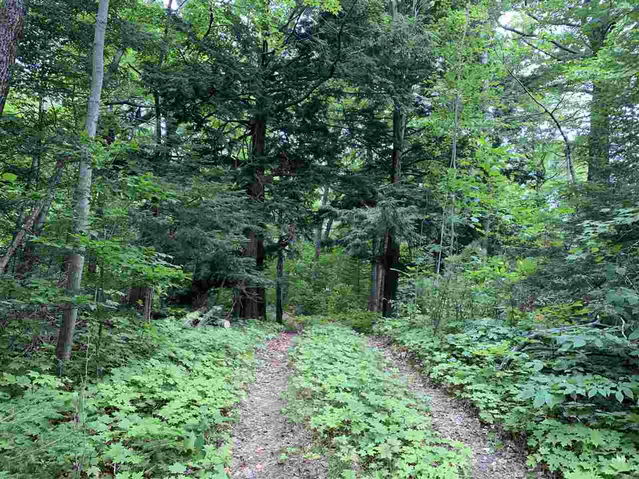 Beaver Island, Michigan 49782, United States, ,Land,Active,71145