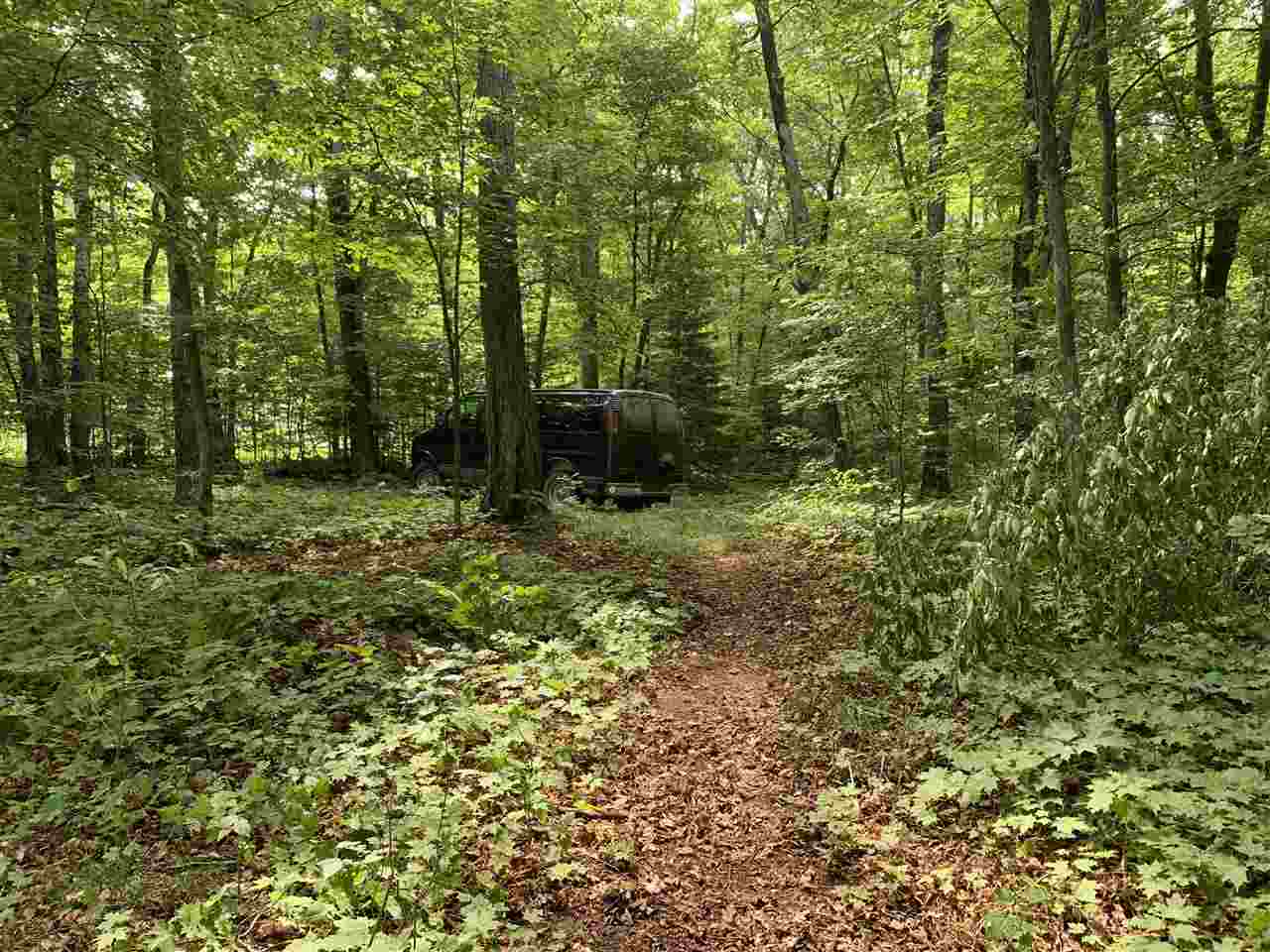 Beaver Island, Michigan 49782, United States, ,Land,Active,71145