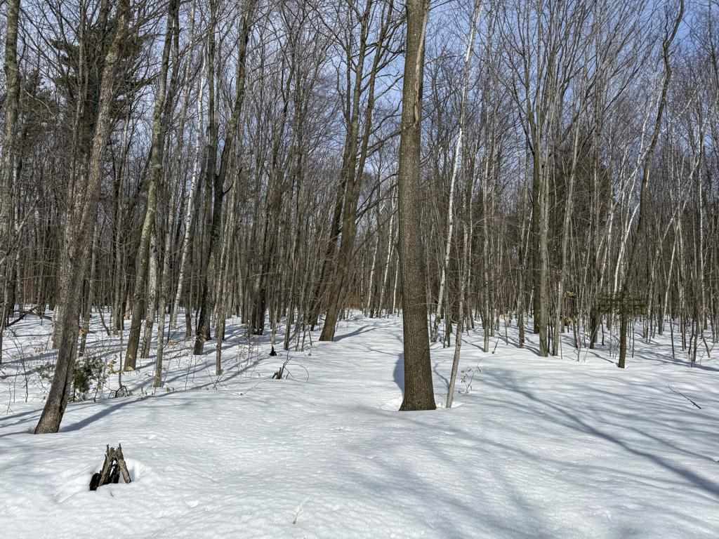 12+ acres Donnel Mors Lane