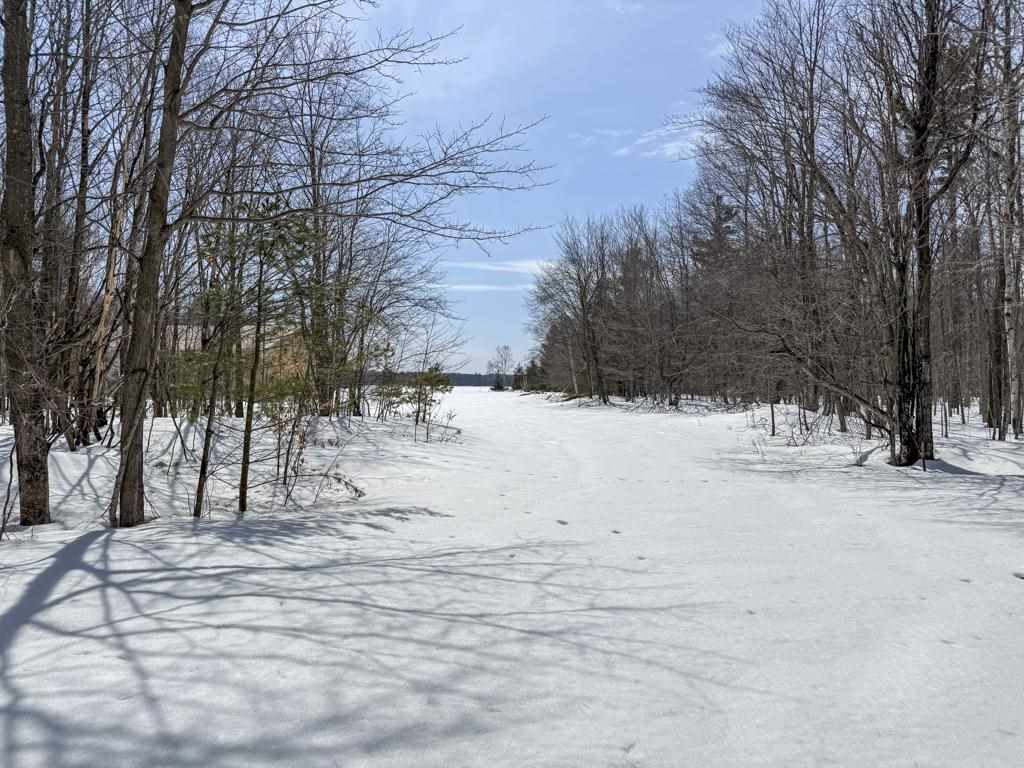 12+ acres Donnel Mors Lane