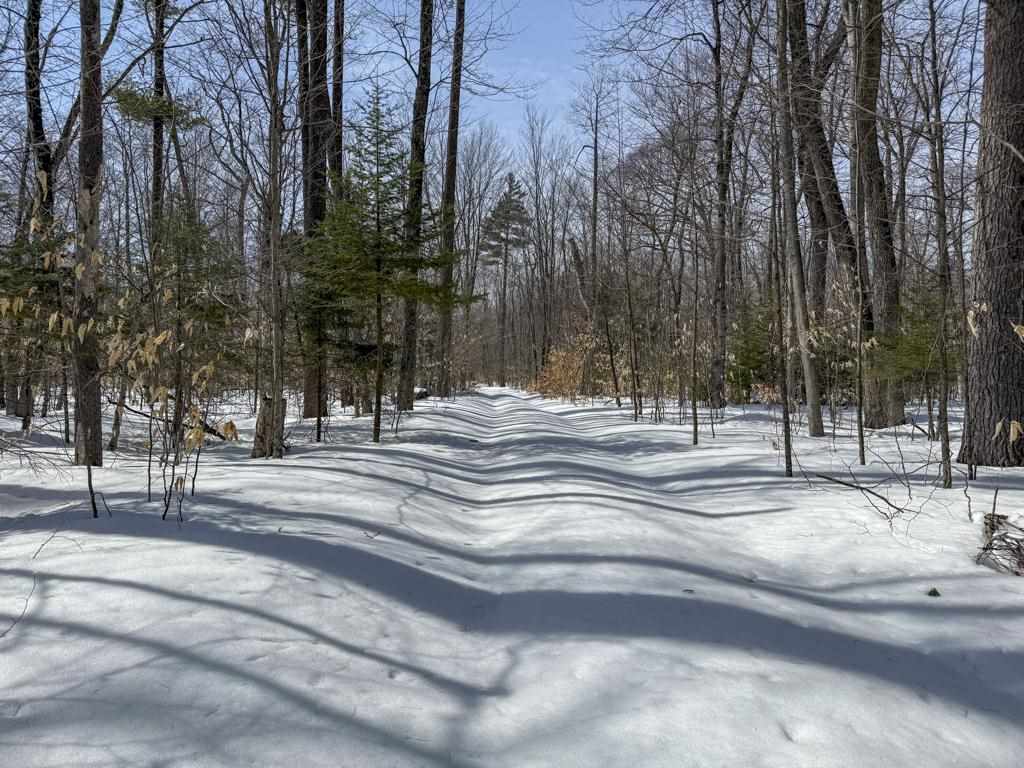 12+ acres Donnel Mors Lane