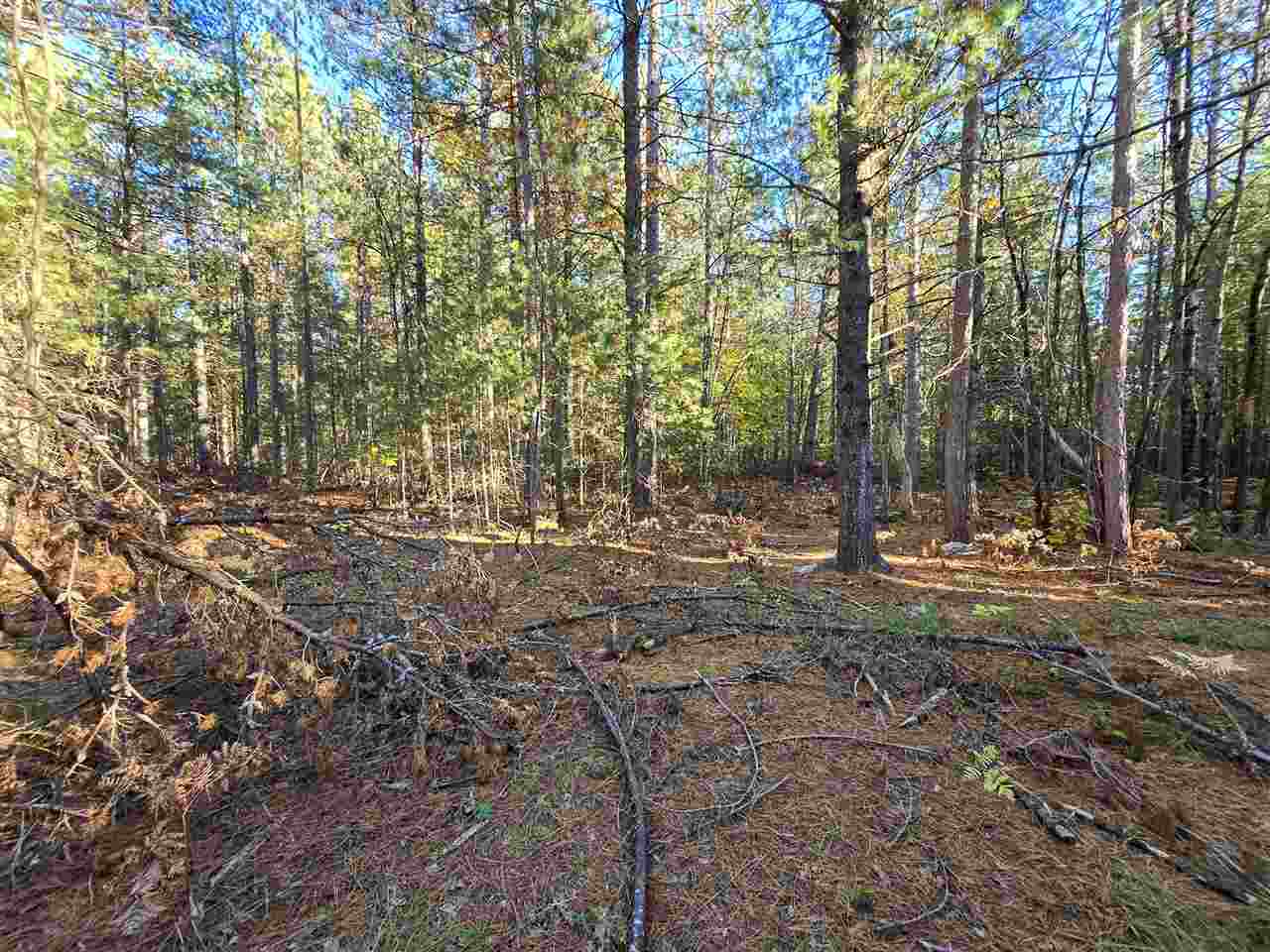 Pellston, Michigan 49769, United States, 4 Bedrooms Bedrooms, ,3 BathroomsBathrooms,Residential,Active,230745