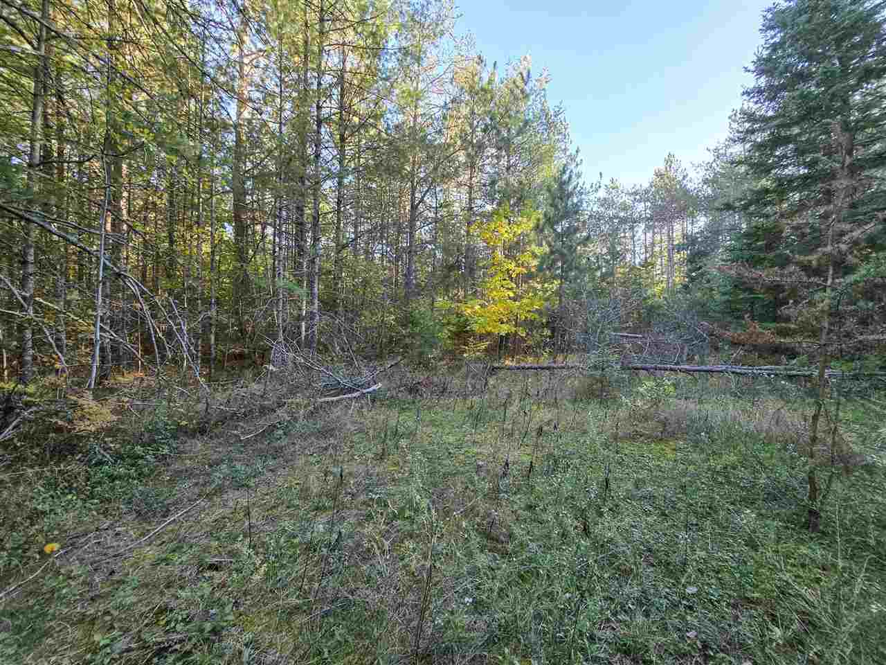 Pellston, Michigan 49769, United States, 4 Bedrooms Bedrooms, ,3 BathroomsBathrooms,Residential,Active,230745