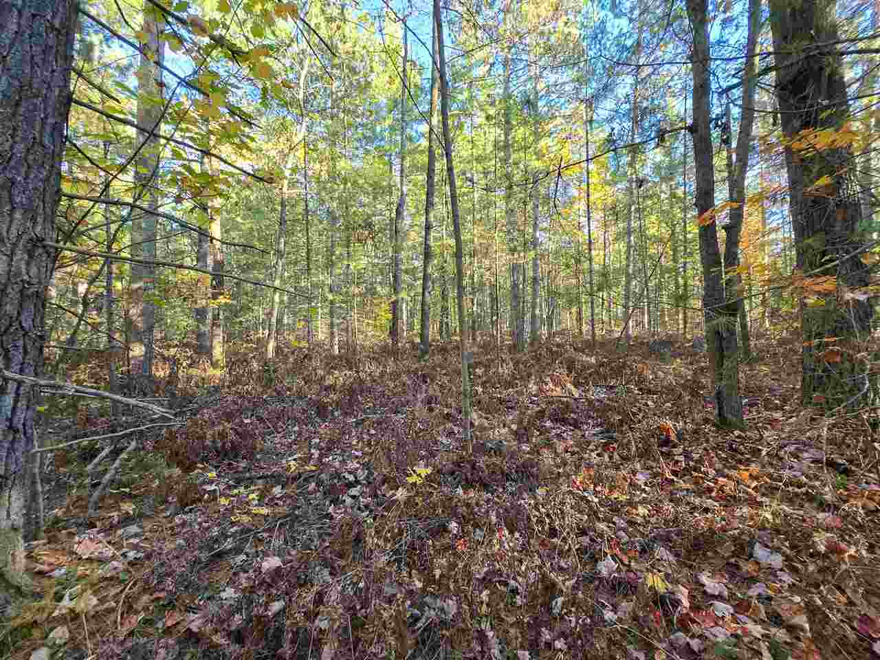 Pellston, Michigan 49769, United States, 4 Bedrooms Bedrooms, ,3 BathroomsBathrooms,Residential,Active,230745