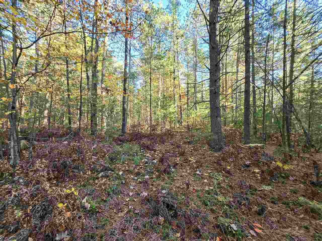 Pellston, Michigan 49769, United States, 4 Bedrooms Bedrooms, ,3 BathroomsBathrooms,Residential,Active,230745