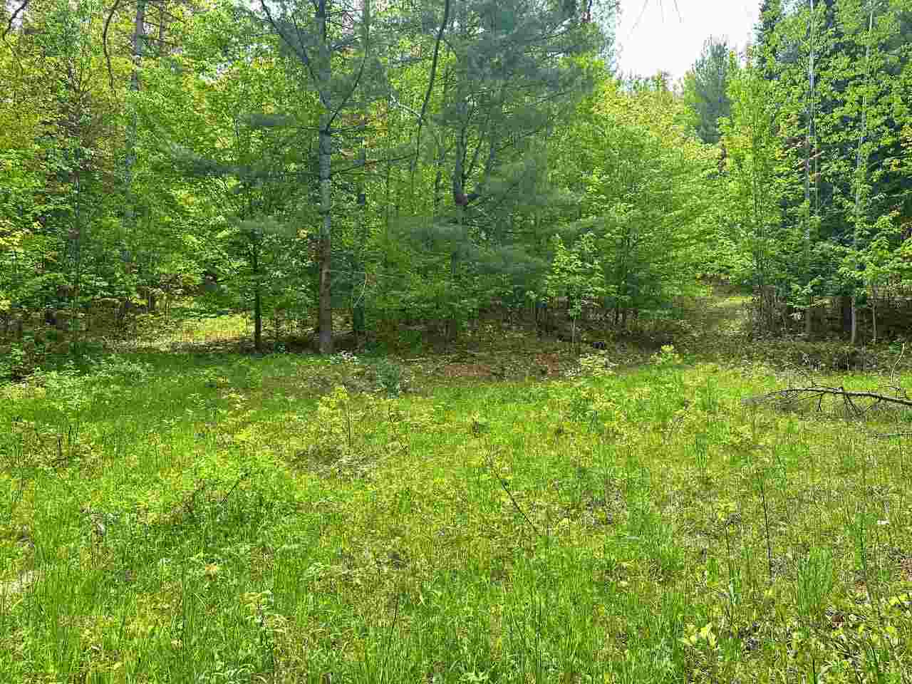 East Jordan, Michigan 49727, United States, 4 Bedrooms Bedrooms, ,3 BathroomsBathrooms,Residential,Active,137566