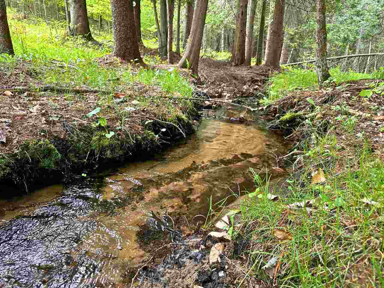 East Jordan, Michigan 49727, United States, 4 Bedrooms Bedrooms, ,3 BathroomsBathrooms,Residential,Active,137566