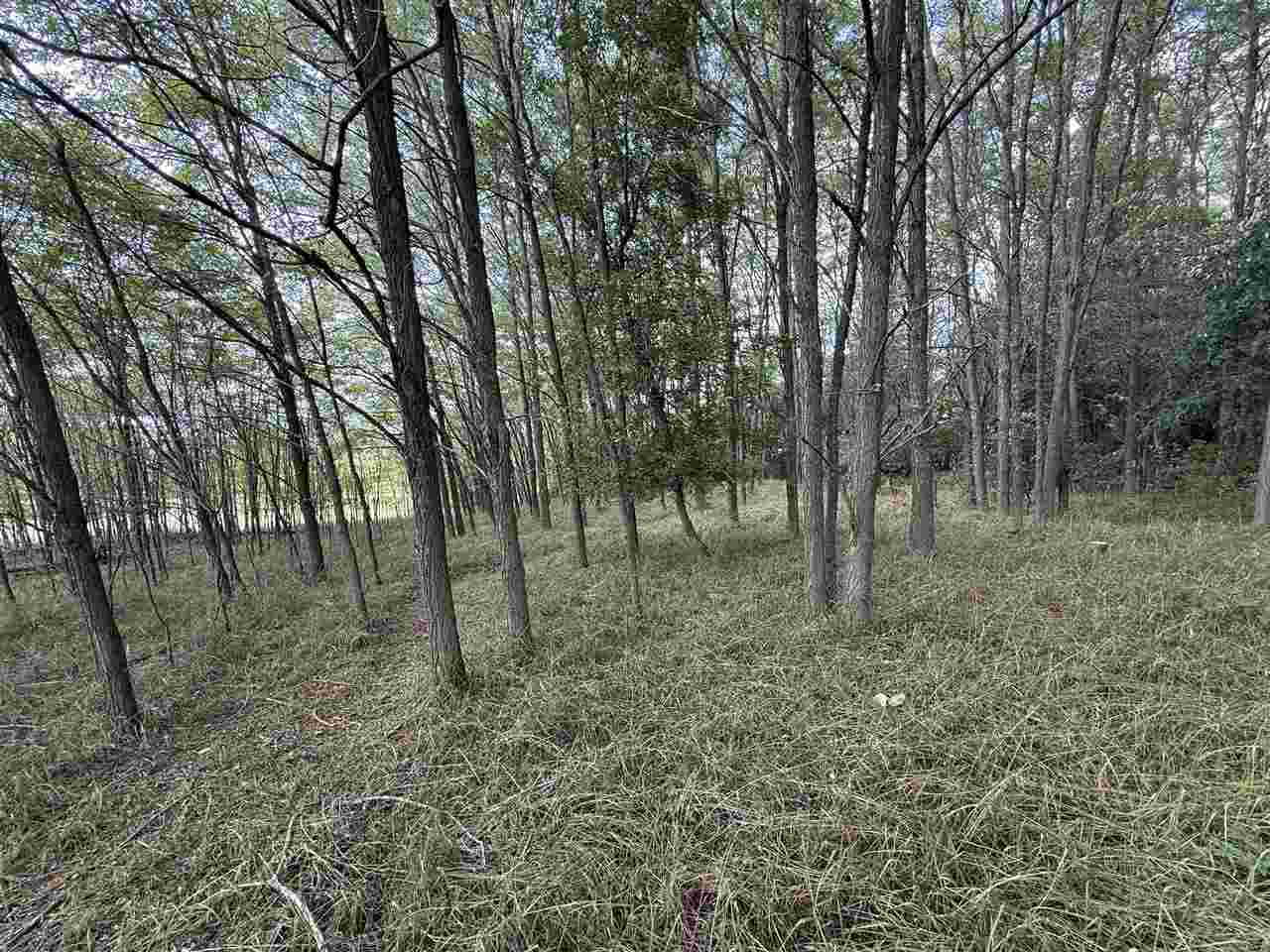 East Jordan, Michigan 49727, United States, ,Land,Active,207538