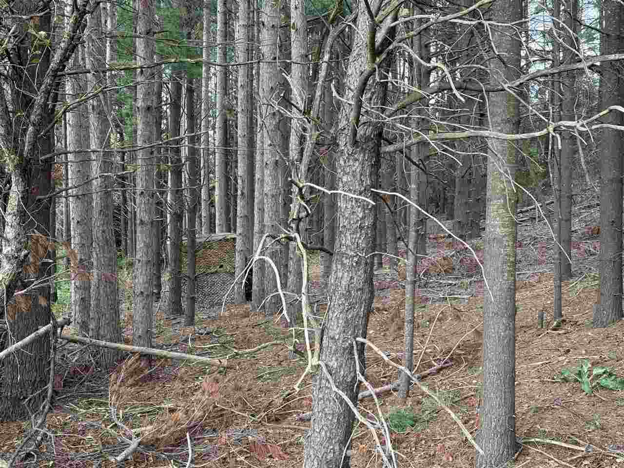 East Jordan, Michigan 49727, United States, ,Land,Active,207538