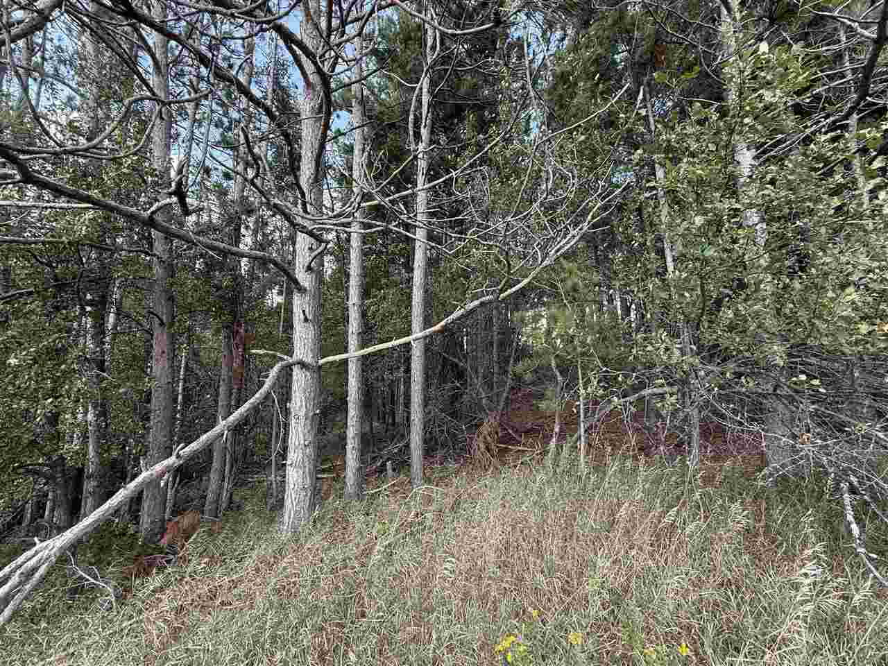 East Jordan, Michigan 49727, United States, ,Land,Active,207538