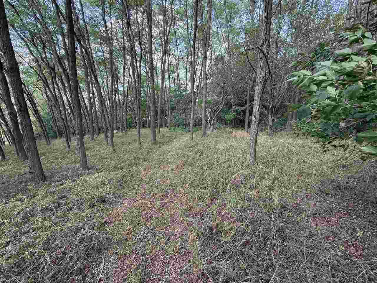 East Jordan, Michigan 49727, United States, ,Land,Active,207538