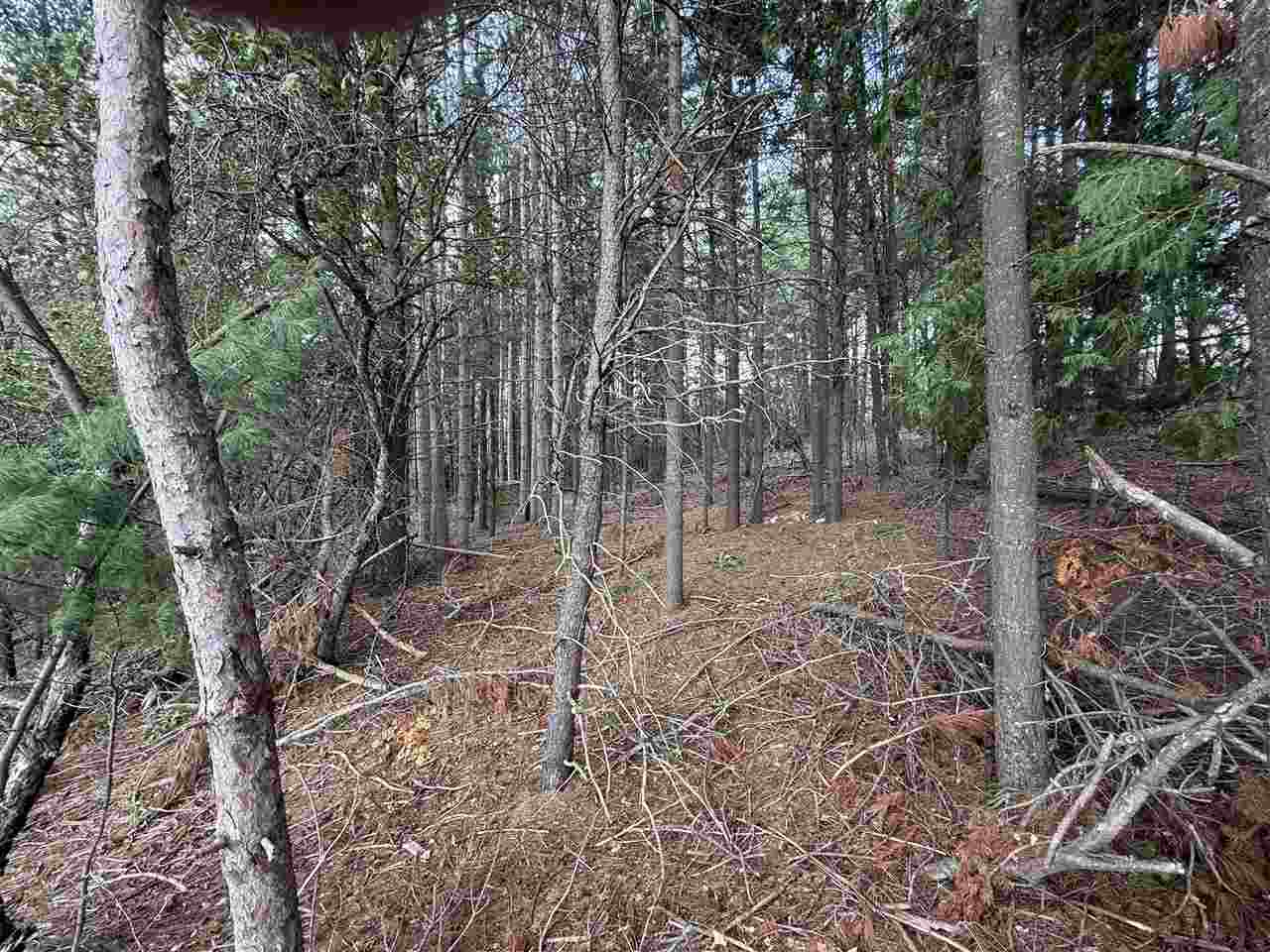 East Jordan, Michigan 49727, United States, ,Land,Active,207538