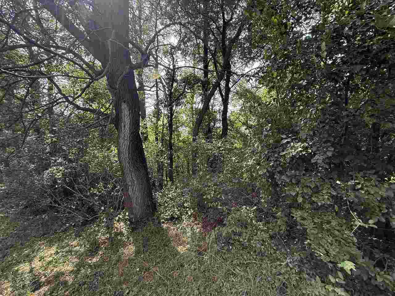 East Jordan, Michigan 49727, United States, ,Land,Active,207538