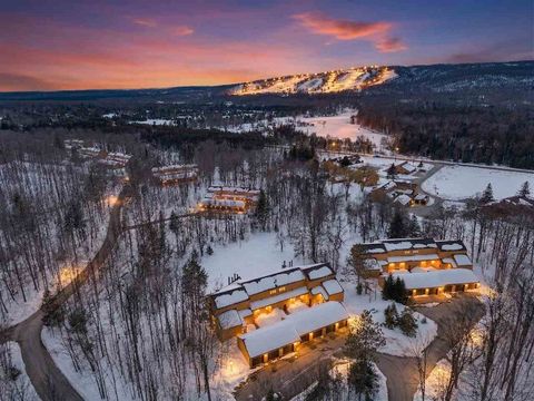 4749 S Pleasantview Road Harbor Springs MI 49740