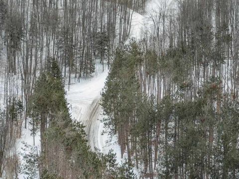 Wildwood Road Petoskey MI 49770