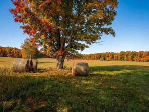 Photo for TBD M-32 Highway