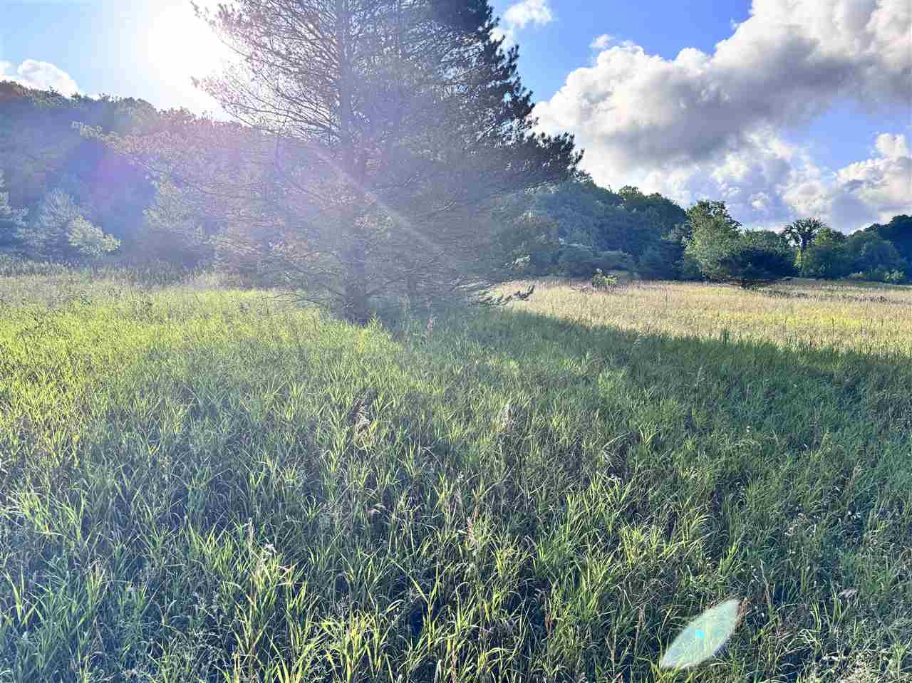 East Jordan, Michigan 49727, United States, ,Land,Active,252840