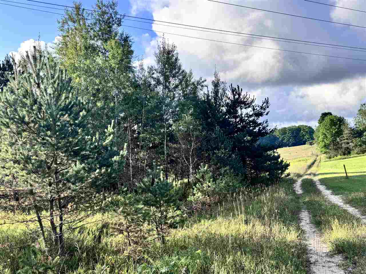 East Jordan, Michigan 49727, United States, ,Land,Active,252840