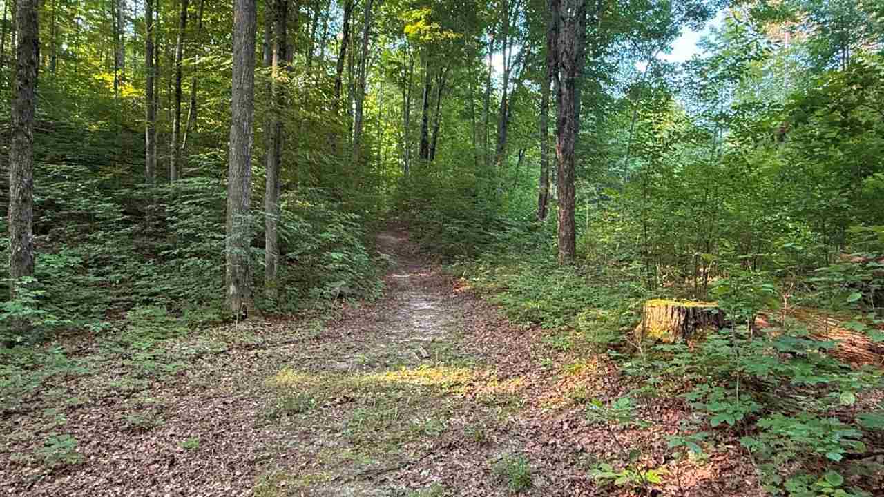 Central Lake, Michigan 49622, United States, 2 Bedrooms Bedrooms, ,1 BathroomBathrooms,Residential,Active,186077