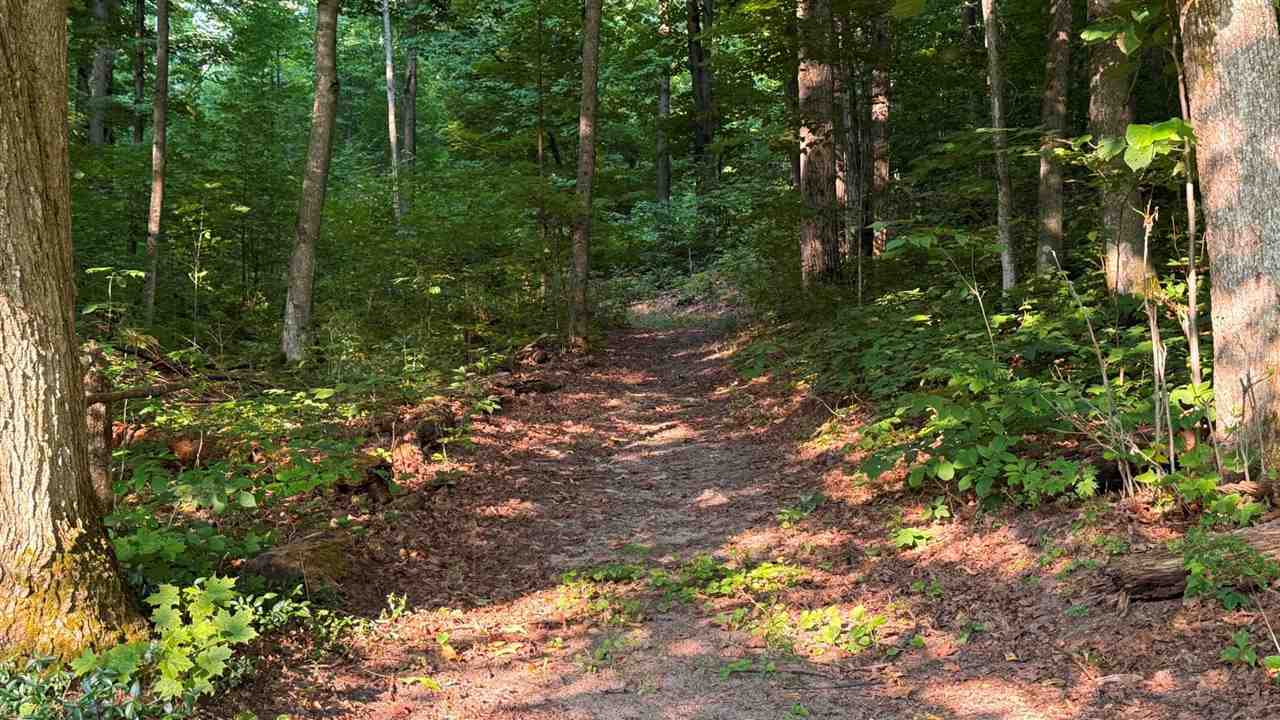 Central Lake, Michigan 49622, United States, 2 Bedrooms Bedrooms, ,1 BathroomBathrooms,Residential,Active,186077