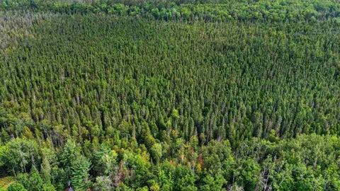 Photo for 00 Valley Vista Lot 20 Drive