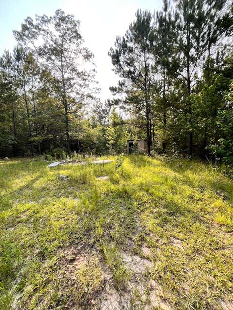 Photo of 27 Roy RD, Lumberton, MS 39455 (MLS # 147768)