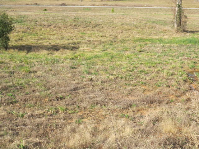 Photo 1 of 1 — 111 Joan Drive, Ellisville, MS 39437