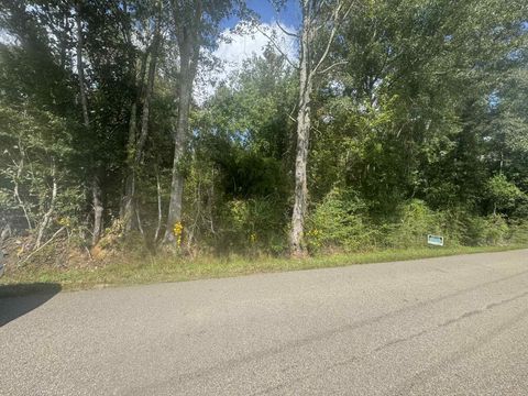 Photo of 0 Sandhill Township Rd., Ellisville, MS 39437 (MLS # 143661)