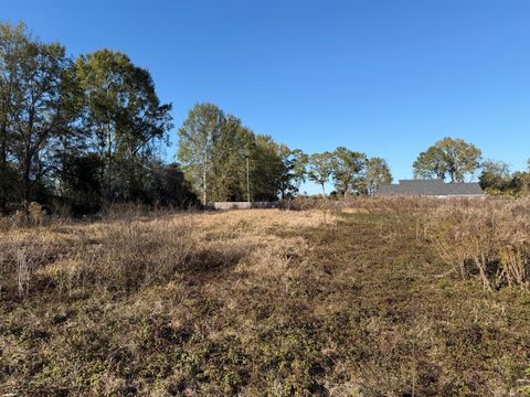 Photo of 2 Crenshaw Rd., Lucedale, MS 39452 (MLS # 145164)