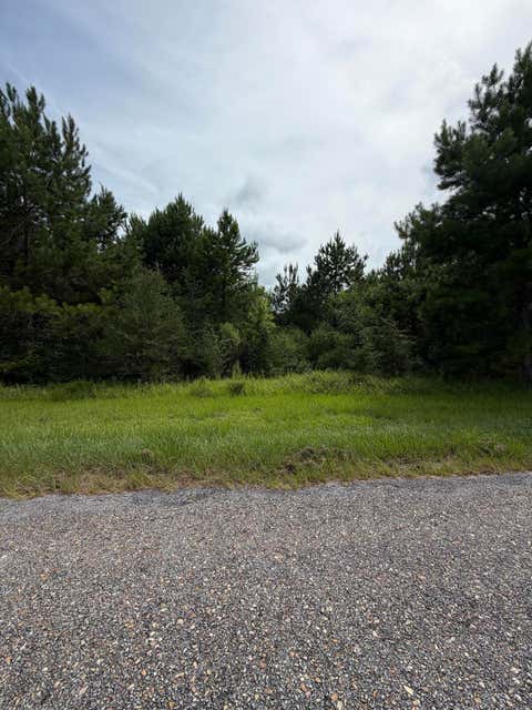Photo of 0 R Thompson, Lumberton, MS 39455 (MLS # 148121)