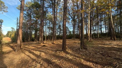 Photo of TBD MS-48, Sandy Hook, MS 39478 (MLS # 145165)