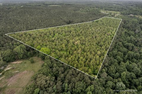 Photo of 225 Acres Noel Townsend Rd., Seminary, MS 39479 (MLS # 137862)
